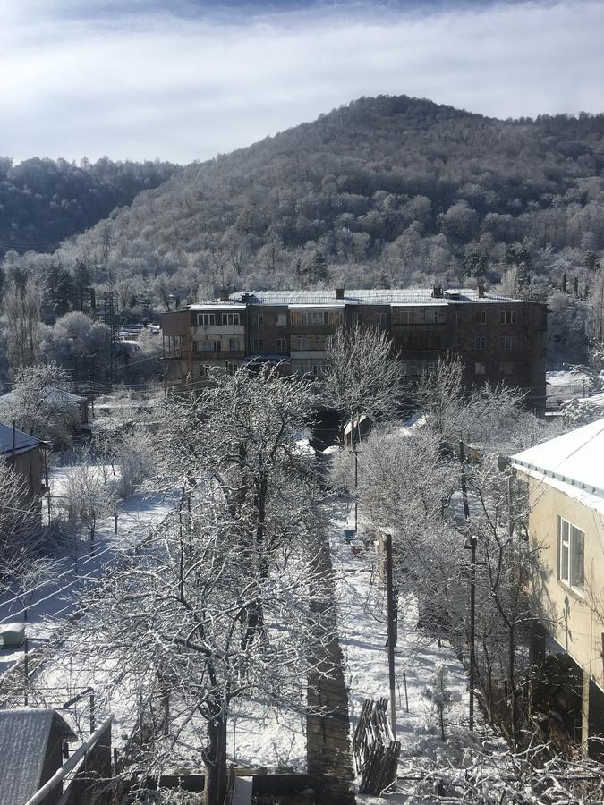 Areguni Guest House Dilidżan Zewnętrze zdjęcie